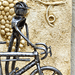 Le Paris-Roubaix - Sculpture avec des objets de récupération (2010)