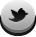 Icone Twitter